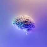 a close up of a brain